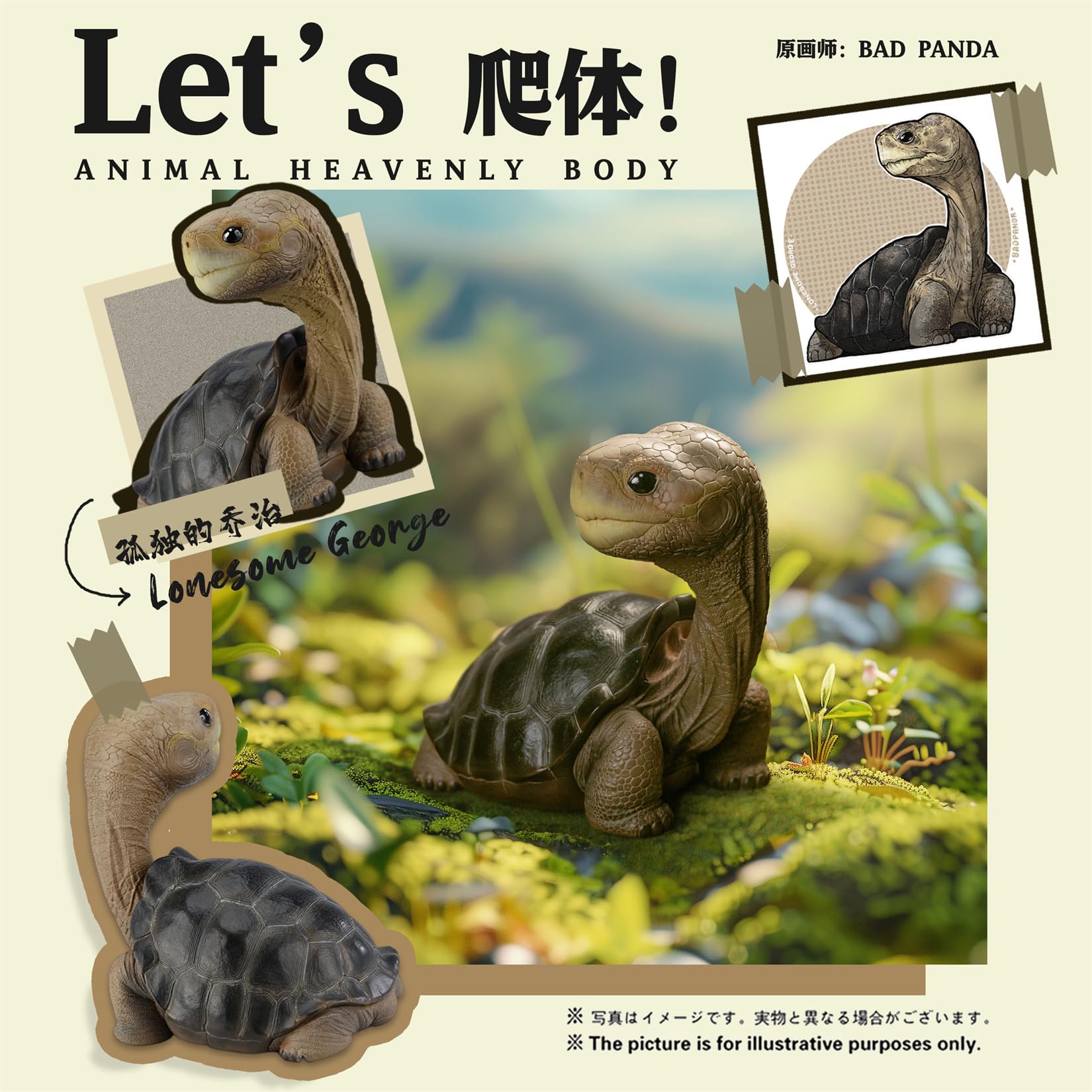 Amazon | BACALYSO | 動物惑星 ガラパゴスゾウガメ カメ 亀 12. 5CM級